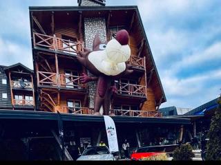 Apartman D346 Aparthotel Vučko - Jahorina - 9