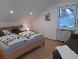 Großzügige und familienfreundliche Ferienwohnung haustierfreundlich - Ainring - 3