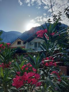 Pension Eden - Băile Herculane - 8