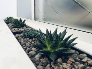 Salerno Place - Design House - Salerno - 3