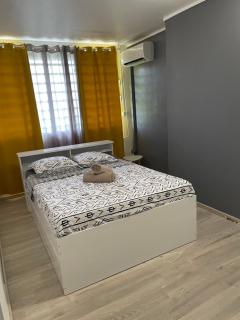 Villa les manguiers - Gourbeyre - 6