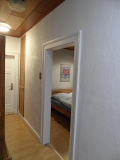 Waschbär - Kassel - 5