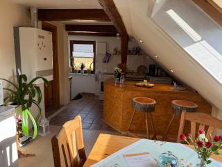 Schöne Ferienwohnung im Erholungsort Sternberg - Sternberg - 8