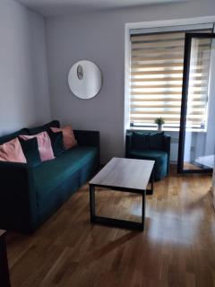 Apartman Sneza - Zlatibor - 7