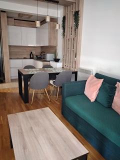 Apartman Sneza - Zlatibor - 4