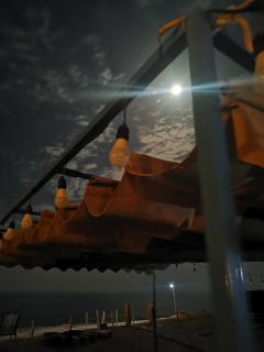 ROYAl FINS CAMP - Fins - 7