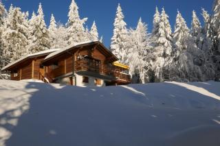 La Sérotine Chalet GERARDMER - 0