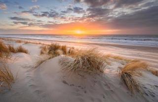 Beach apartment by the sea - Julianadorp - 9