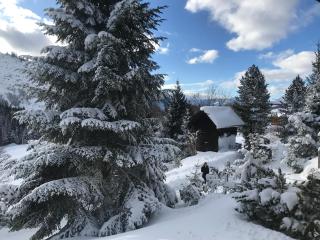 Haus Grimmingblick - Zlem - 1
