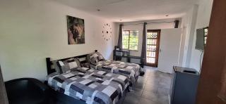 Jukskei Big5 - Lion - Fourways - 5