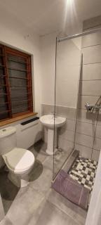 Jukskei Big5 - Lion - 4