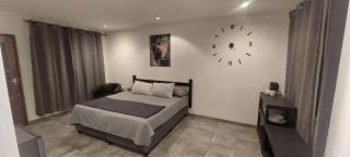 Jukskei Big5 - Lion - 3