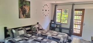 Jukskei Big5 - Lion - Fourways - 1