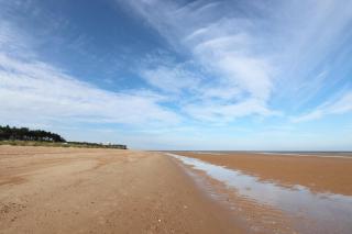 Le Strange Arms Garden Lodges - Hunstanton - 4