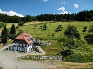 Ferienhaus mit 2 Wohnungen, Whirlpools, Saunen und Schwarzwaldblick für 10 Personen - 9