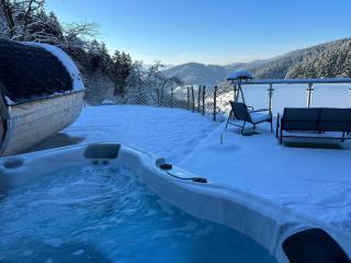 Haus Mit Whirlpool, Sauna Und Schwarzwaldblick - Hausach - 5