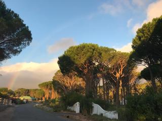 The Studio - a lovely 1 bed loft apartment - 4