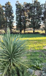 Emplacement camping car chez agriculteur branchement électrique - Barbentane - 0