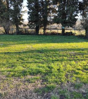 Emplacement camping car chez agriculteur branchement électrique - Barbentane - 4