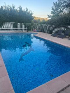 Charmant studio a la campagne - Peypin - 1