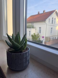 Schönes Zimmer im Zentrum - Oldemburgo - 2