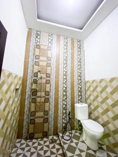 Dieng Travelink Inn - 1