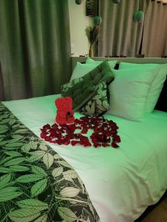 Suite l'Olive Sacrée Spa et Sauna - Cabannes - 5