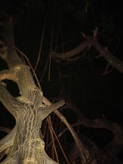 Zen Aura Living Weligama - Weligama - 3