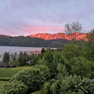 Familie Falkensteiner - eine friedvolle Oase - Nussdorf am Attersee - 7