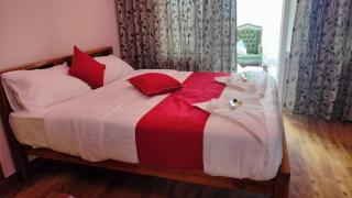 Luxurious Private Villa with Lawn Family Retreat - Ooty - 0