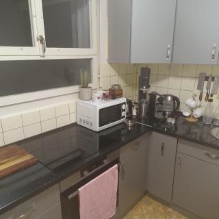 Schöne Wohnung mit grosse Terasse - Vevey - 1