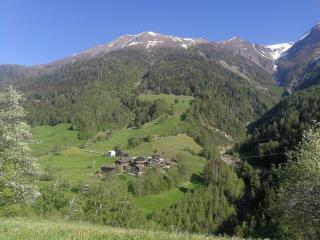 Alpenrose Aletsch Landschaftspark Binntal - Grengiols - 1