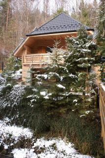 Forest House- dom nad górskim potokiem - Juszczyn - 7