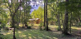 Cabaña Epuleufu en parcela privada de 5000mt2 - Pucón - 9