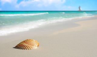 Splash Ocean-front Luxury Two-bedroom Beach Condo - 2