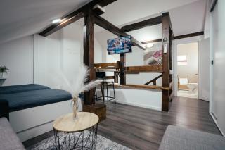 Studio Apartment & Rooms Huang - Zagabria - 1