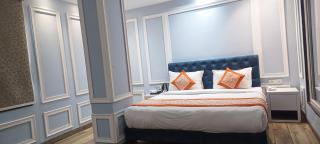 Hotel Stanley Near Delhi Airport - 0