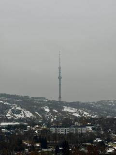 Cozy apartment Dostyk Plaza - 9