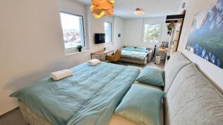 Mountainside Homestay in Spiez by Menbergs Harmony Homestay - Spiez - 9