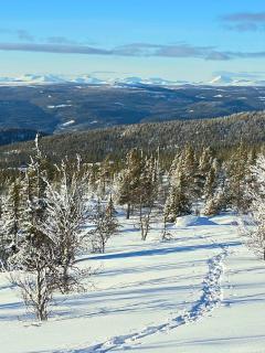 Moderne hytte plass for 10 - Rendalen - 5