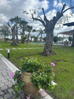 Casa Vacanze Villa di Loreto - Uso Esclusivo - San Giovanni la Punta - 3