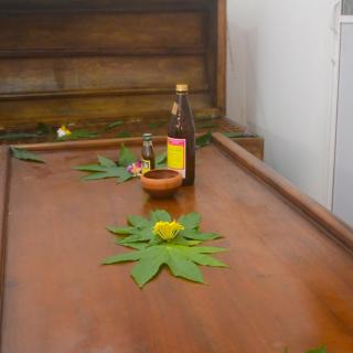 Dhighayu Ayurvedic Wellness Resort - Kegalle - 6