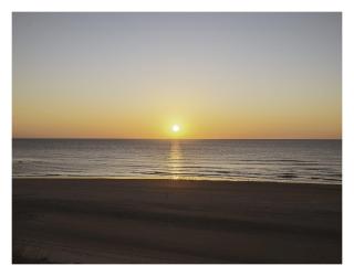 cottage proche du bord de mer et au cœur des dunes - 6