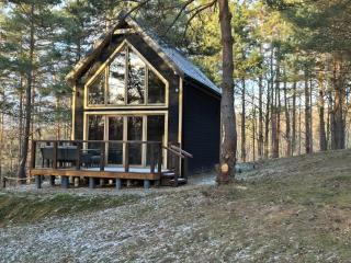 Woodland House 1 - Berezka - 1