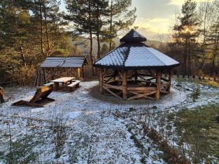 Woodland House 1 - Berezka - 8
