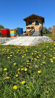 Apidomček na Gazdovom dvore - 9