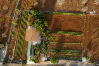 Villa Mauro - Corsano - 6