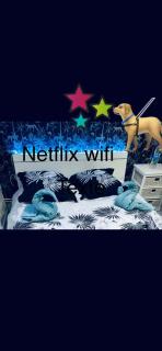 Maison atypique avec un grand terrain !animaux bienvenus !wifi netflix écran plat 4k - Les Forges - 0