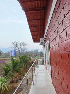 The Golden Leaf Farm - Alibag - 7