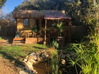 Cabane bambou - Apt - 2